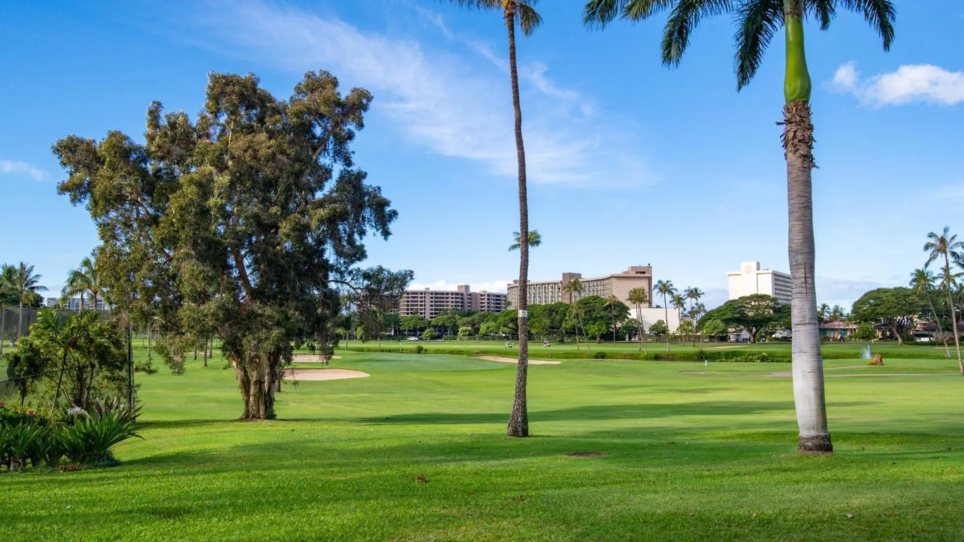 Kaanapali Royal D202 Villa Lahaina 0*,