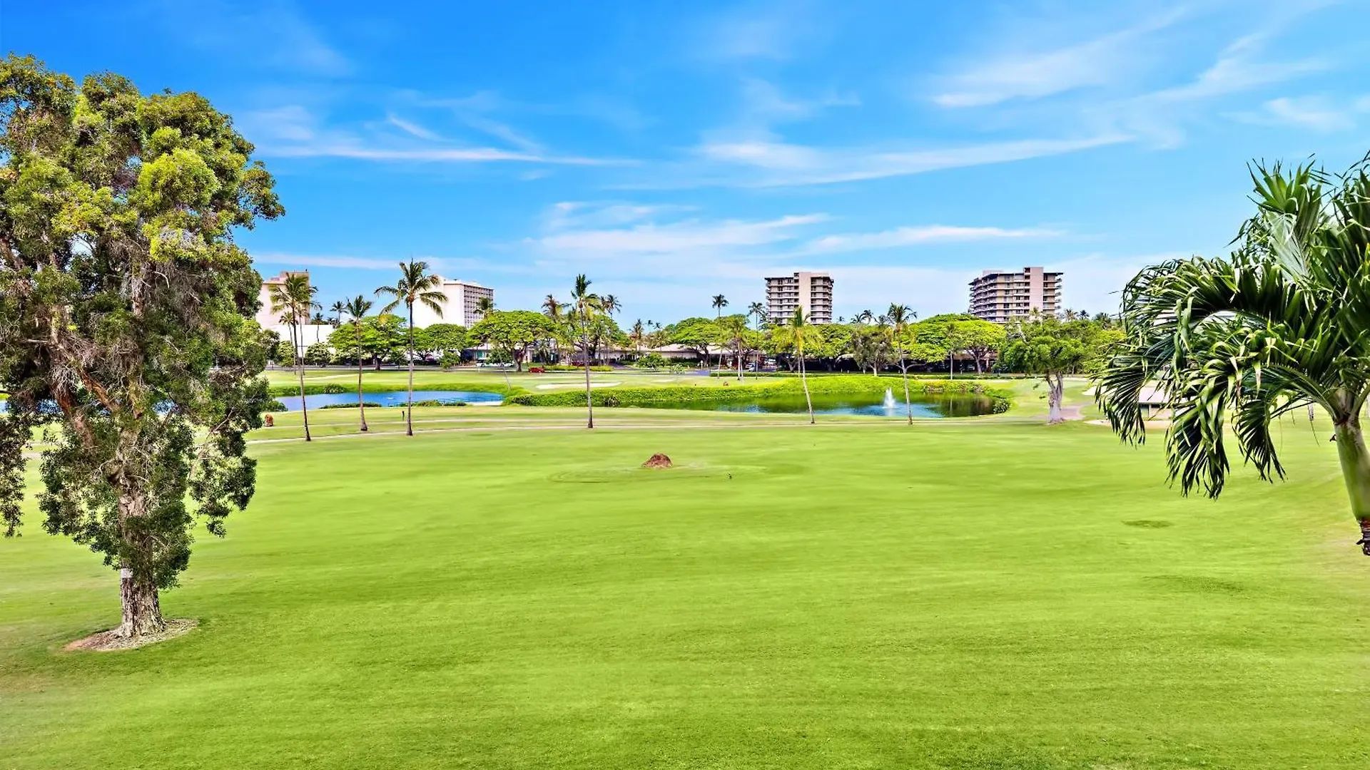 Kaanapali Royal D202 Villa Lahaina